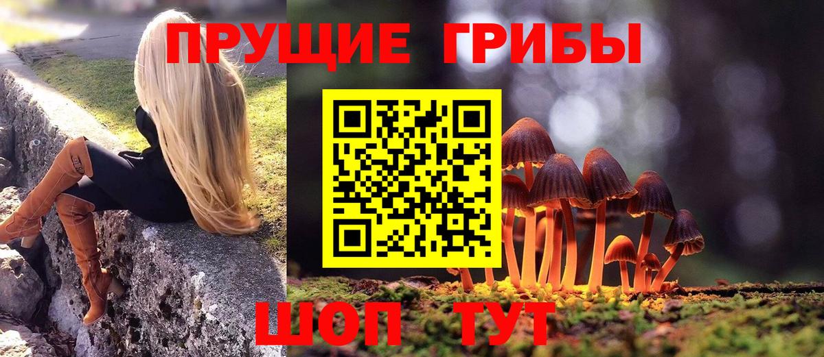 Псилоцибиновые грибы Cubensis Протвино