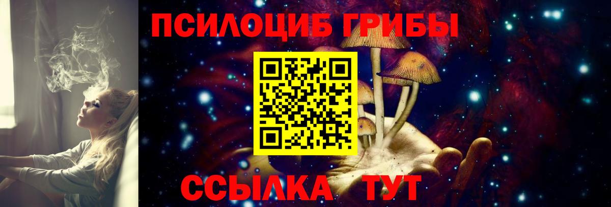 Галлюциногенные грибы мицелий  Вход с VPN  Протвино 